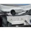 FREIGHTLINER CASCADIA 126 2017-2025 HOOD thumbnail 10