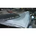 FREIGHTLINER CASCADIA 126 2017-2025 HOOD thumbnail 25
