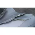 FREIGHTLINER CASCADIA 126 2017-2025 HOOD thumbnail 27