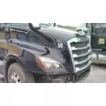 FREIGHTLINER CASCADIA 126 2017-2025 HOOD thumbnail 1