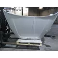 FREIGHTLINER CASCADIA 126 2017-2025 HOOD thumbnail 13