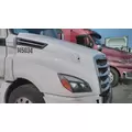 FREIGHTLINER CASCADIA 126 2017-2025 HOOD thumbnail 3