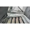 FREIGHTLINER CASCADIA 126 2017-2025 HOOD thumbnail 4