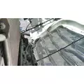 FREIGHTLINER CASCADIA 126 2017-2025 HOOD thumbnail 11