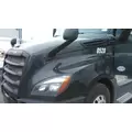 FREIGHTLINER CASCADIA 126 2017-2025 HOOD thumbnail 2