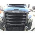 FREIGHTLINER CASCADIA 126 2019-2024 GRILLE thumbnail 1