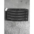 FREIGHTLINER CASCADIA 126 2019-2024 GRILLE thumbnail 4