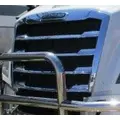 FREIGHTLINER CASCADIA 126 2019-2026 GRILLE thumbnail 1