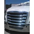 FREIGHTLINER CASCADIA 126 2019-2026 GRILLE thumbnail 1