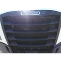 FREIGHTLINER CASCADIA 126 2019-2026 GRILLE thumbnail 1