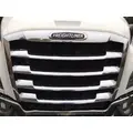 FREIGHTLINER CASCADIA 126 2019-2026 GRILLE thumbnail 1