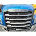 FREIGHTLINER CASCADIA 126 2019-2026 GRILLE thumbnail 1