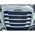 FREIGHTLINER CASCADIA 126 2019-2026 GRILLE thumbnail 1