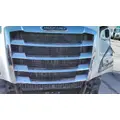 FREIGHTLINER CASCADIA 126 2019-2026 GRILLE thumbnail 1