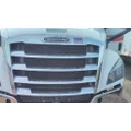 FREIGHTLINER CASCADIA 126 2019-2026 GRILLE thumbnail 1