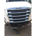 FREIGHTLINER CASCADIA 126 2019-2026 GRILLE thumbnail 2