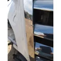 FREIGHTLINER CASCADIA 126 2019-2026 GRILLE thumbnail 4