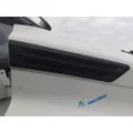 FREIGHTLINER CASCADIA 126 AIR INTAKE LOUVERCOVER thumbnail 1