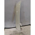 FREIGHTLINER CASCADIA 126 BODY PARTS, MISC. thumbnail 2