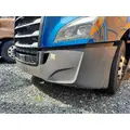 FREIGHTLINER CASCADIA 126 BUMPER ASSEMBLY, FRONT thumbnail 3