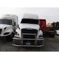 FREIGHTLINER CASCADIA 126 BUMPER BRUSH GUARD thumbnail 1