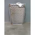 FREIGHTLINER CASCADIA 126 DECK (CATWALK) STEP thumbnail 2