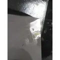 FREIGHTLINER CASCADIA 126 DOOR ASSEMBLY, FRONT thumbnail 2
