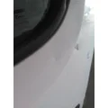 FREIGHTLINER CASCADIA 126 DOOR ASSEMBLY, FRONT thumbnail 2