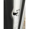 FREIGHTLINER CASCADIA 126 DOOR ASSEMBLY, FRONT thumbnail 6