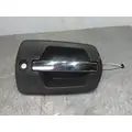 FREIGHTLINER CASCADIA 126 DOOR HANDLE thumbnail 1