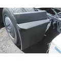 FREIGHTLINER CASCADIA 126 FENDER, QUARTERHALF REAR thumbnail 1