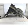 FREIGHTLINER CASCADIA 126 FENDER, SPLASH SHIELDGUARD thumbnail 3