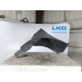 FREIGHTLINER CASCADIA 126 FENDER, SPLASH SHIELDGUARD thumbnail 3