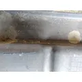 FREIGHTLINER CASCADIA 126 FENDER, SPLASH SHIELDGUARD thumbnail 5