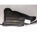 FREIGHTLINER CASCADIA 126 FENDER, SPLASH SHIELDGUARD thumbnail 4
