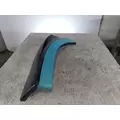 FREIGHTLINER CASCADIA 126 FENDER EXTENSION thumbnail 2