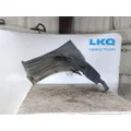 FREIGHTLINER CASCADIA 126 FENDER EXTENSION thumbnail 3