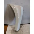 FREIGHTLINER CASCADIA 126 FENDER EXTENSION thumbnail 2