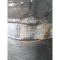 FREIGHTLINER CASCADIA 126 FUEL TANK thumbnail 3