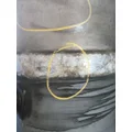 FREIGHTLINER CASCADIA 126 FUEL TANK thumbnail 4