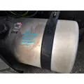 FREIGHTLINER CASCADIA 126 FUEL TANK thumbnail 2