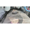FREIGHTLINER CASCADIA 126 FUEL TANK thumbnail 1