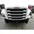 FREIGHTLINER CASCADIA 126 GRILLE thumbnail 1