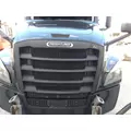 FREIGHTLINER CASCADIA 126 GRILLE thumbnail 1