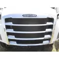 FREIGHTLINER CASCADIA 126 GRILLE thumbnail 1