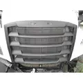 FREIGHTLINER CASCADIA 126 GRILLE thumbnail 1