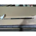 FREIGHTLINER CASCADIA 126 HOOD SHOCKSTRUT thumbnail 6