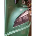 FREIGHTLINER CASCADIA 126 HOOD thumbnail 6