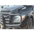 FREIGHTLINER CASCADIA 126 HOOD thumbnail 3