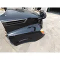 FREIGHTLINER CASCADIA 126 HOOD thumbnail 6